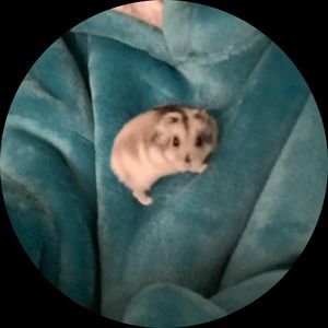 Meet your Posher, Catherine